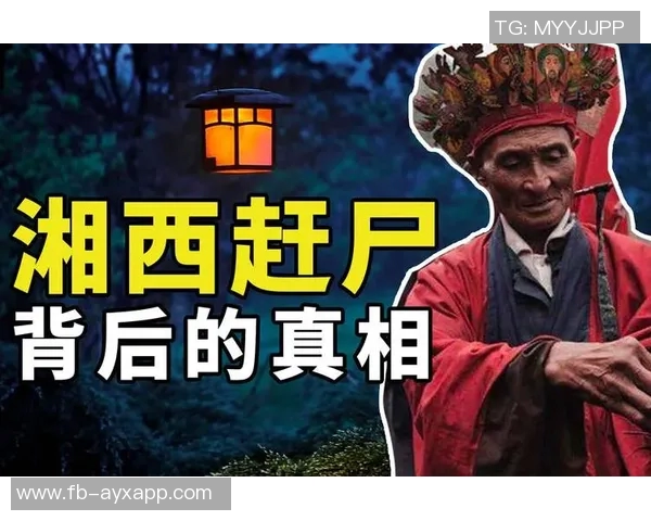 所以，到底发生了什么背后隐藏的真相与故事解析